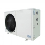 Domestic Heat Pump